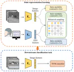 Paper accepted by Information Fusion